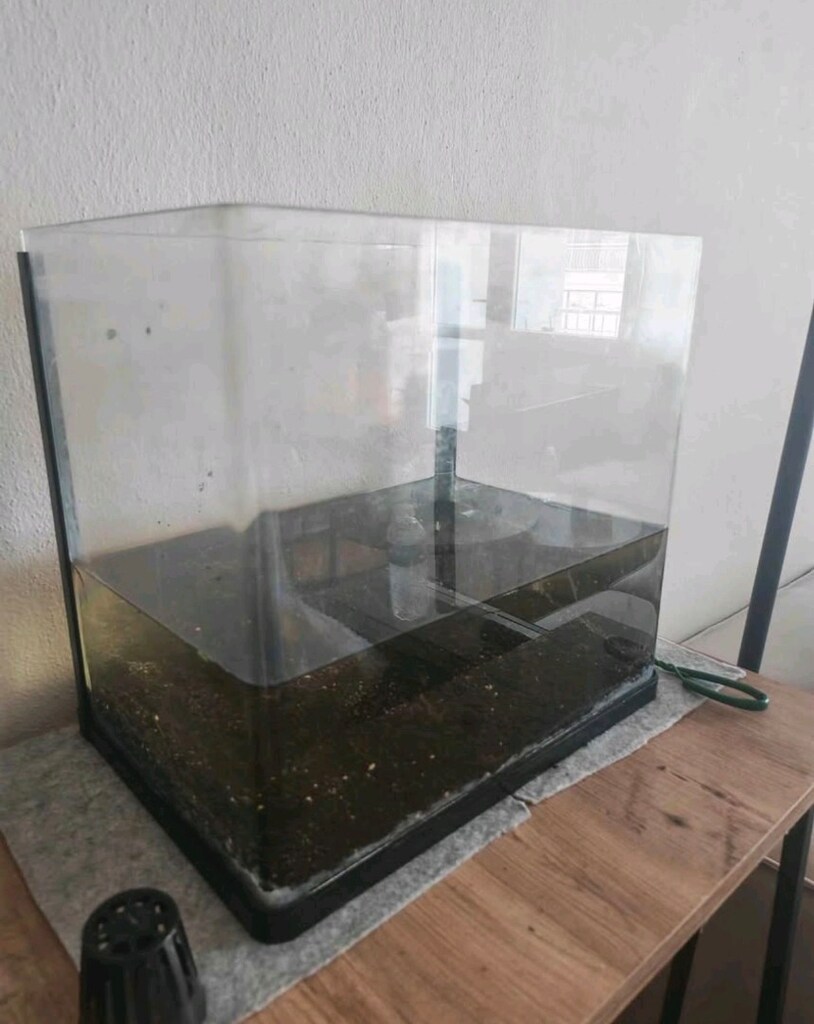 40 lt akvaryum - 3