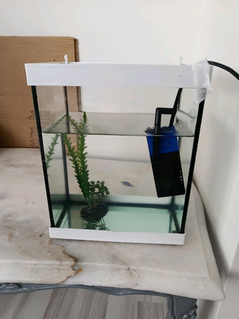 mini akvaryum - 3