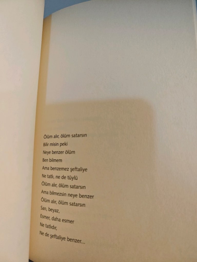 yazarlardan 11 adet şiir kitabı - 14