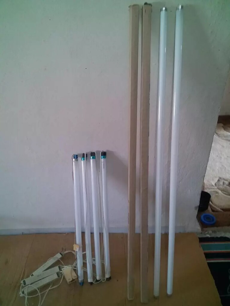 avizeler - 3
