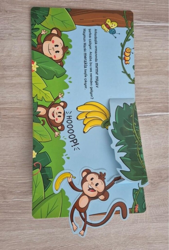 Pop-Up ile Keşfet Arkadaşlık Ormanı - 7