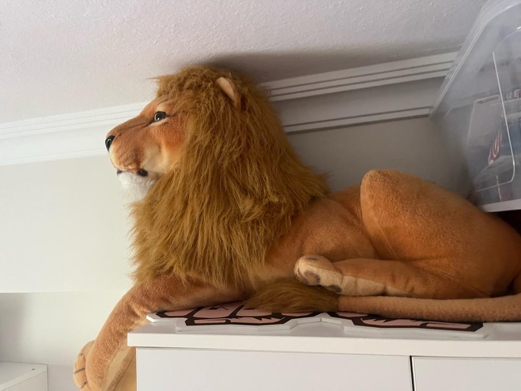 Peluş Aslan - 3