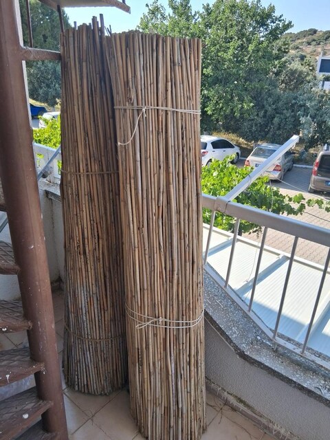 bambu çit