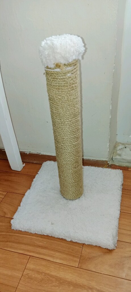 kedi Tırmanma tahtası - 2