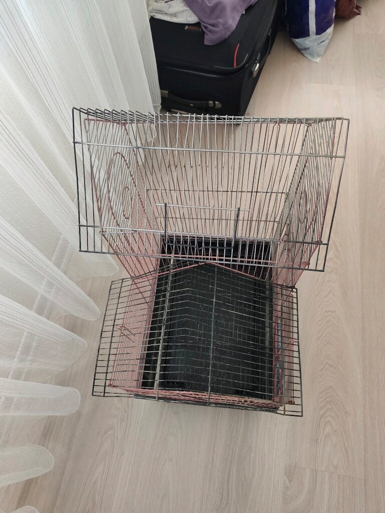 büyük boy sultan papağanı kafesi - 5
