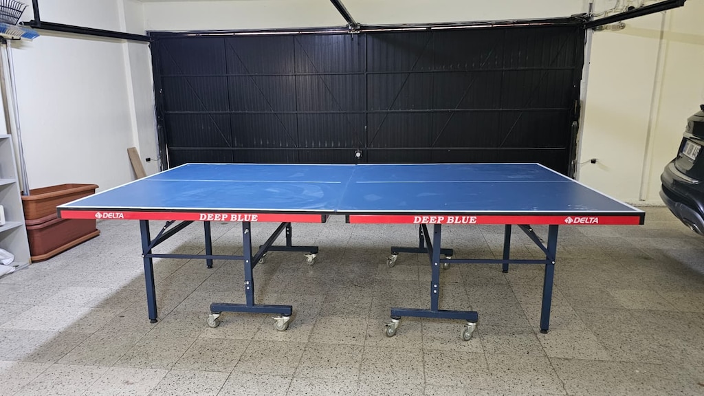 MASA TENİSİ - 2