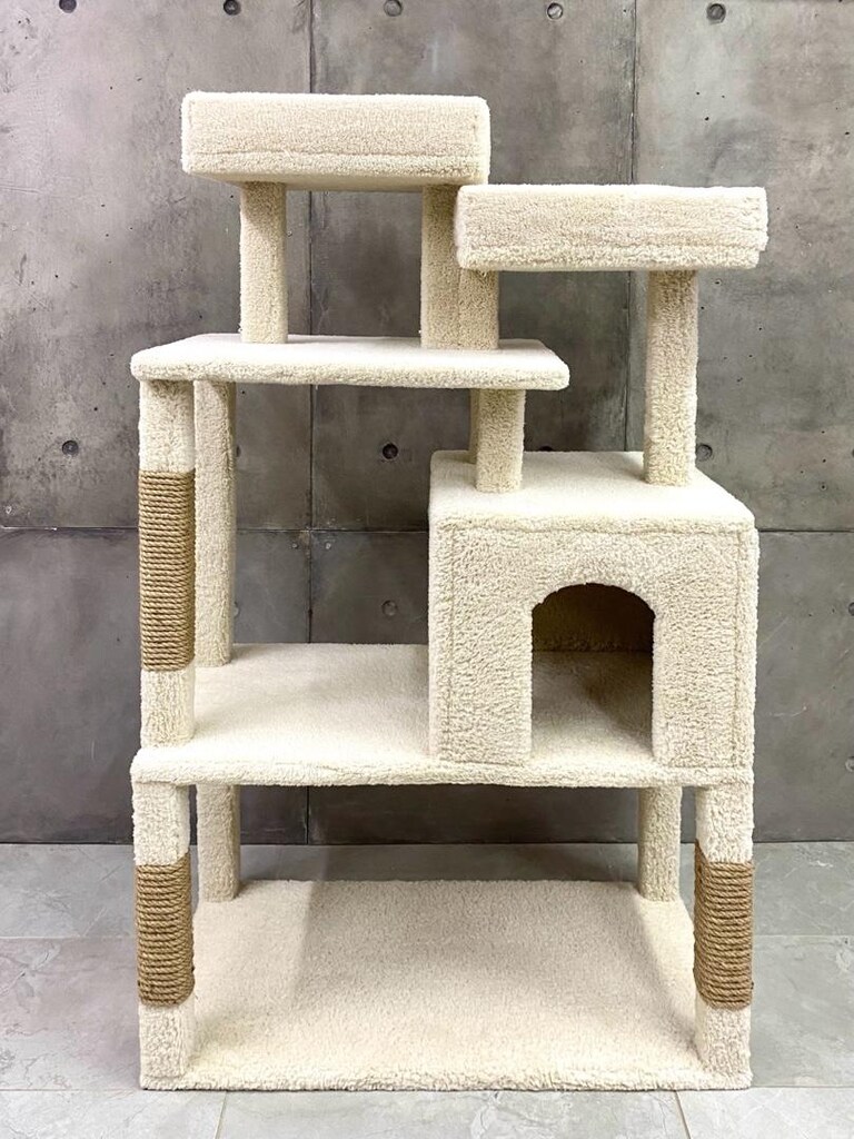 kedi evi