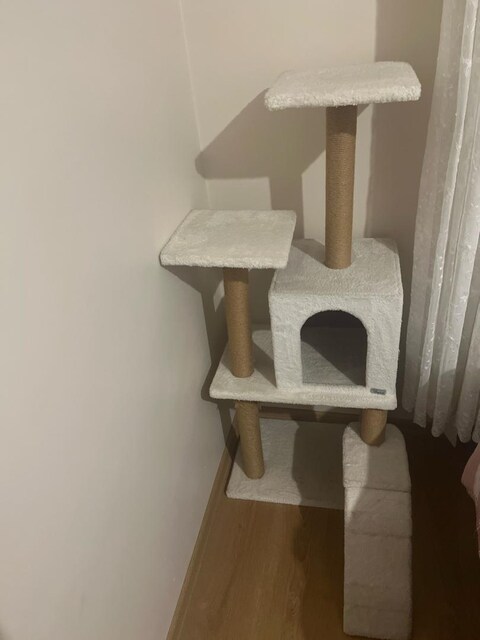 kedi evi