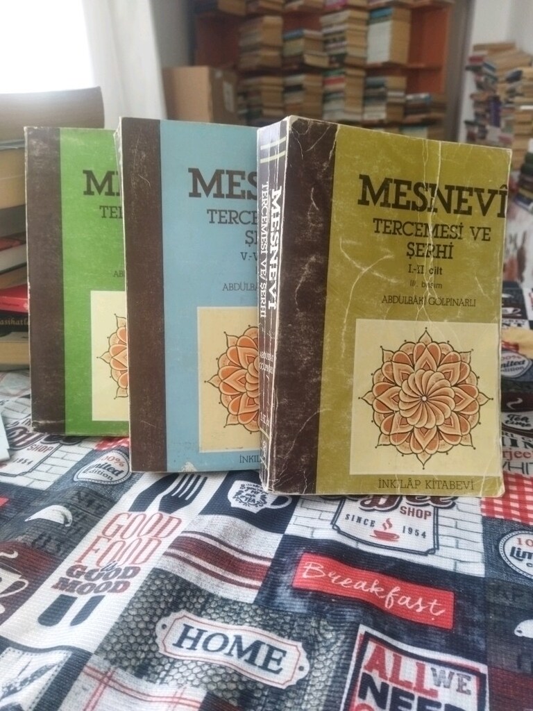 Mesnevi tercemesi ve şerhi - 2