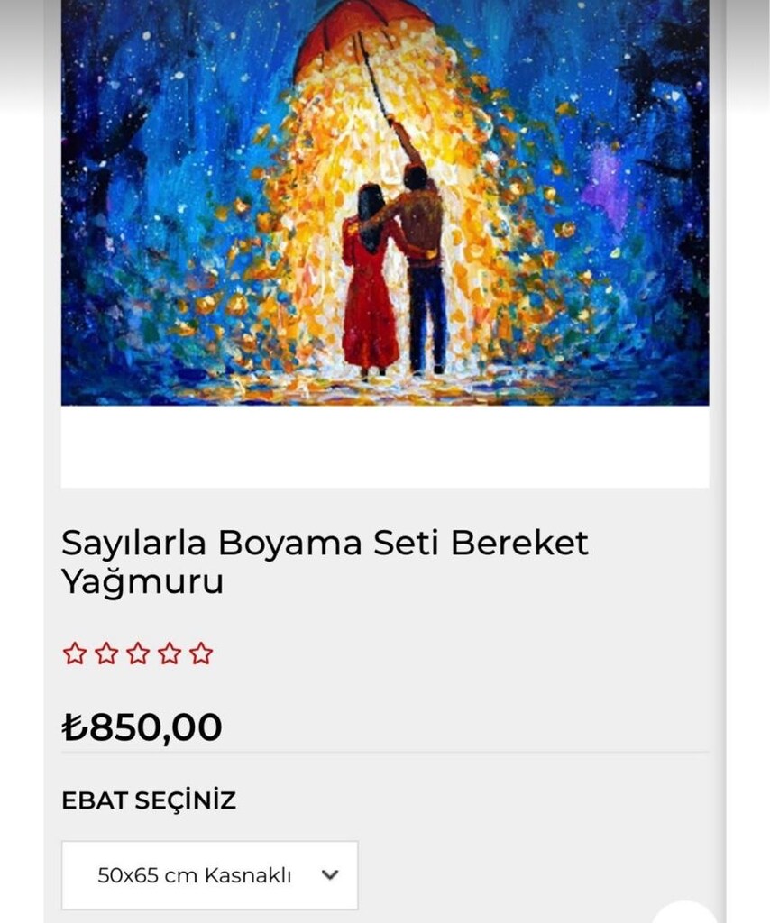 Sayılarla Boyama Hobi Seti - 4