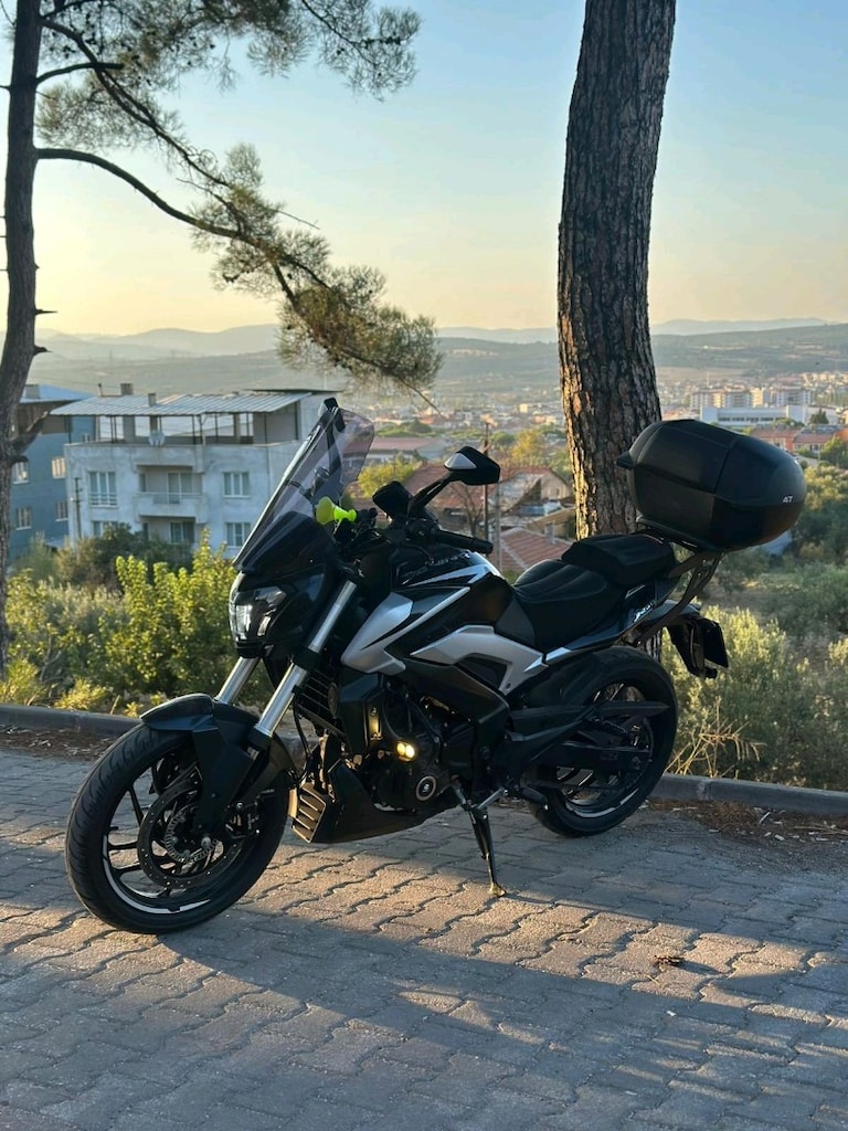 DOMINAR 250 - 6