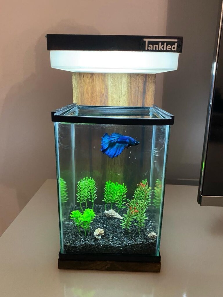 Nano Akvaryum - 2