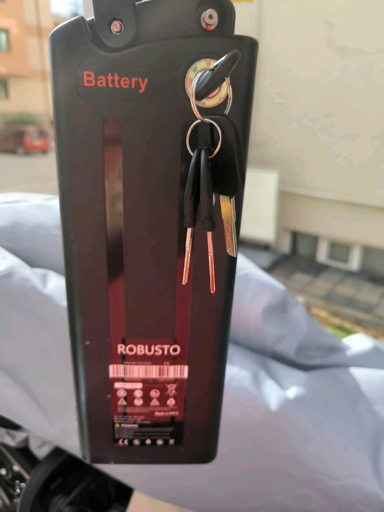 Skyjet Robusto 750 W E-Bisiklet - 3