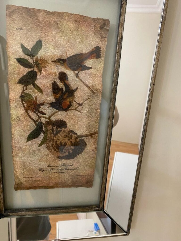 mikasa moor - 2