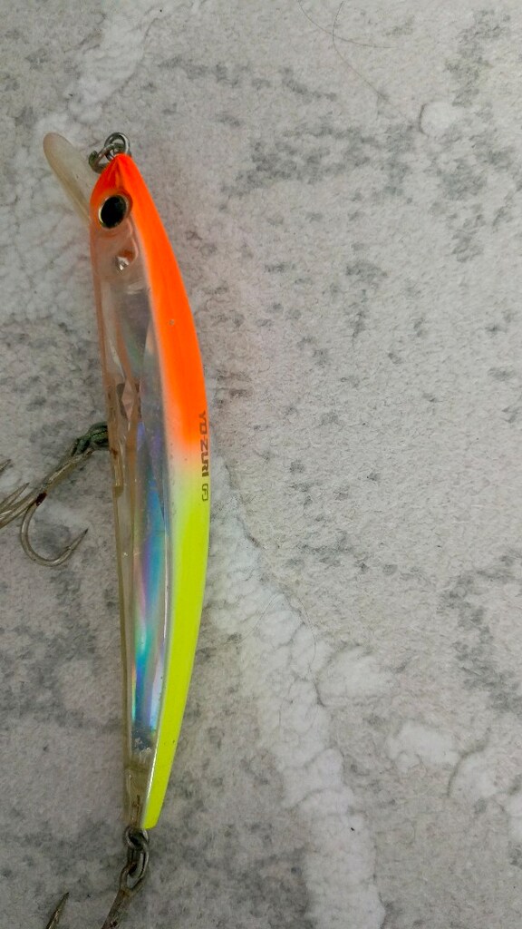 rapala suni balik - 4