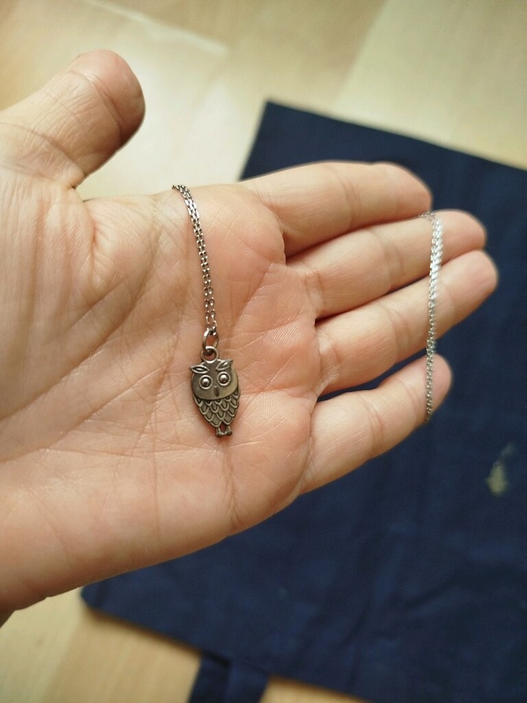 Gümüş baykuş kolye 50.5 cm ve küpe 1 adet - 9