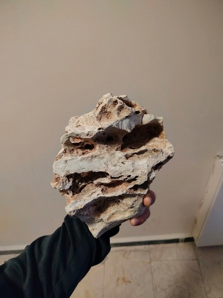akvaryum dekor süs - 2