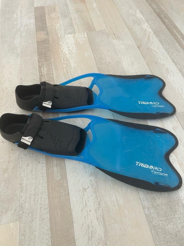 deniz paleti - 4