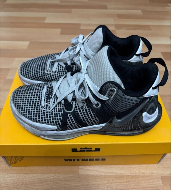 LeBron Witness 7 Basketbol ayakkabısı