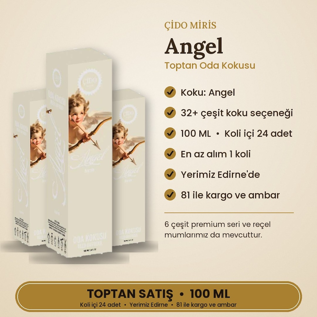ANGEL ODA KOKUSU 100ML ÇİDO MİRİS TOPTAN 24'LÜ KOLİ - 2