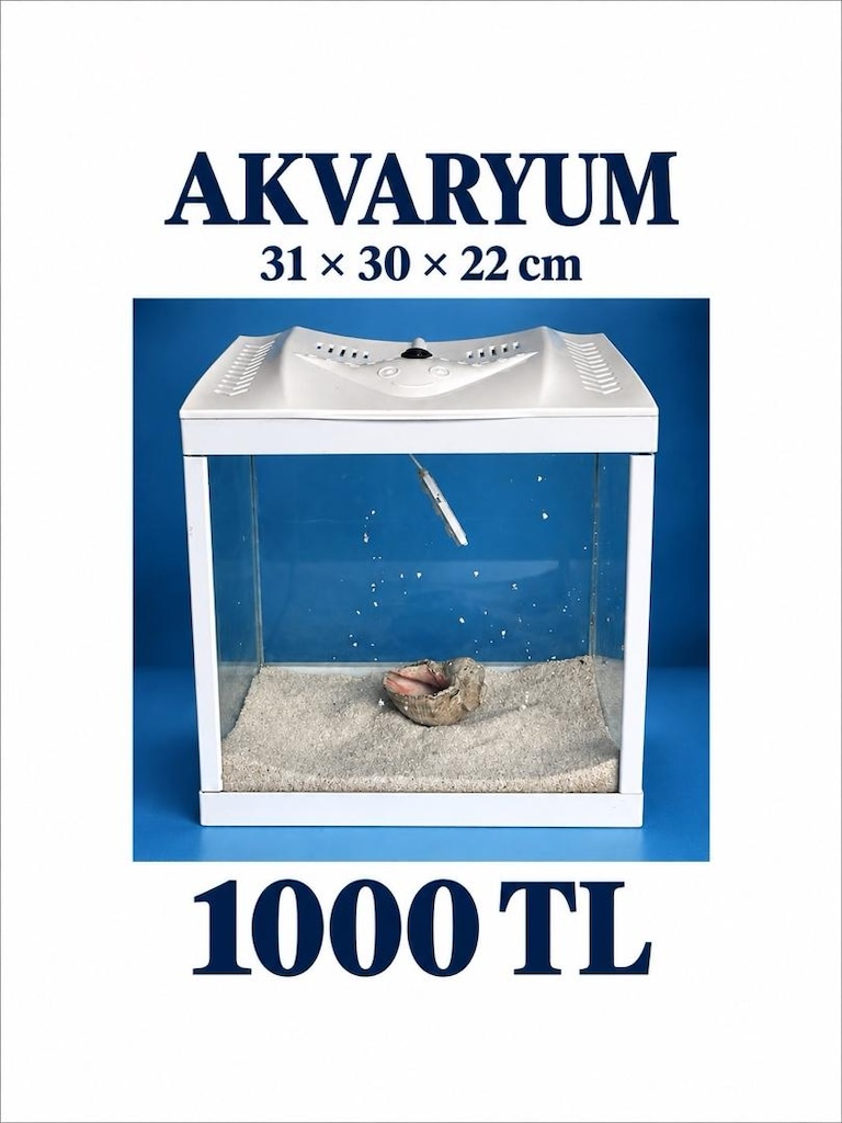 Akvaryumlar - 2