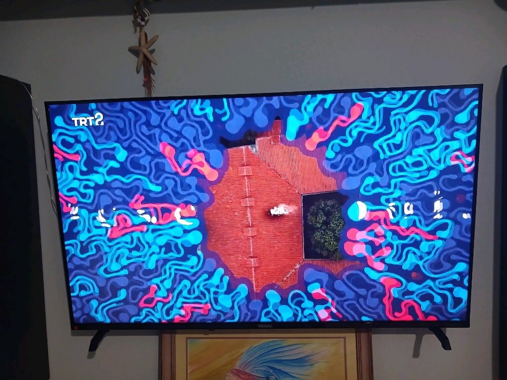42 inch Regal sıfır ayarında Tv - 2