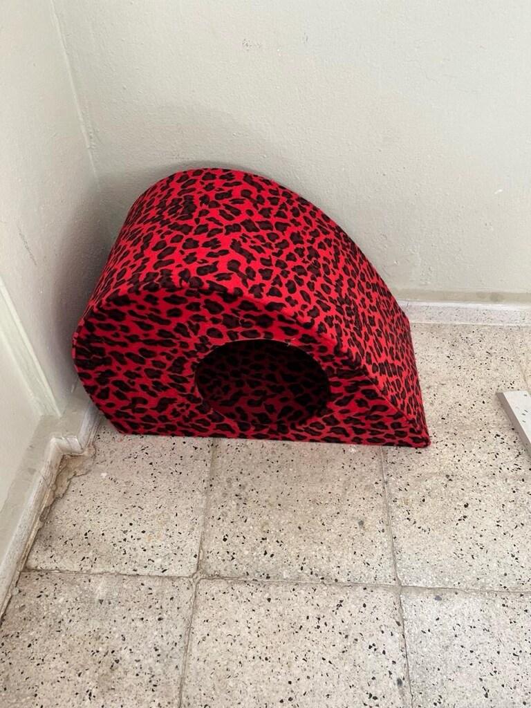 kedi evi - 4