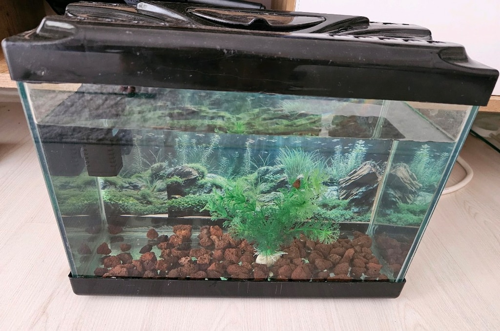 35 cm Akvaryum - 2