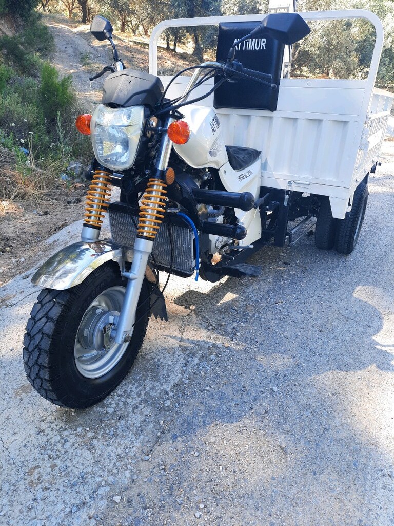 üç tekerlekli kasalı motorsiklet - 6