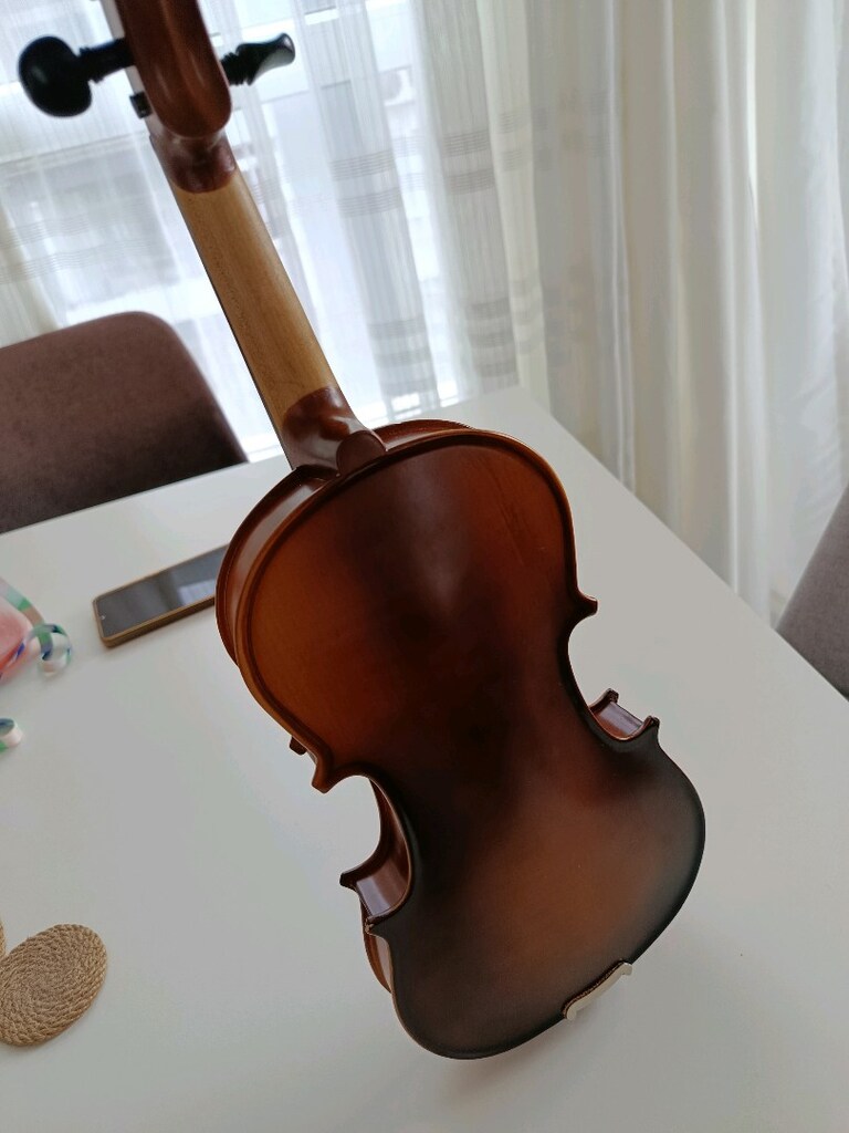Keman Çocuk kemanı Carlovy vl8 - 6