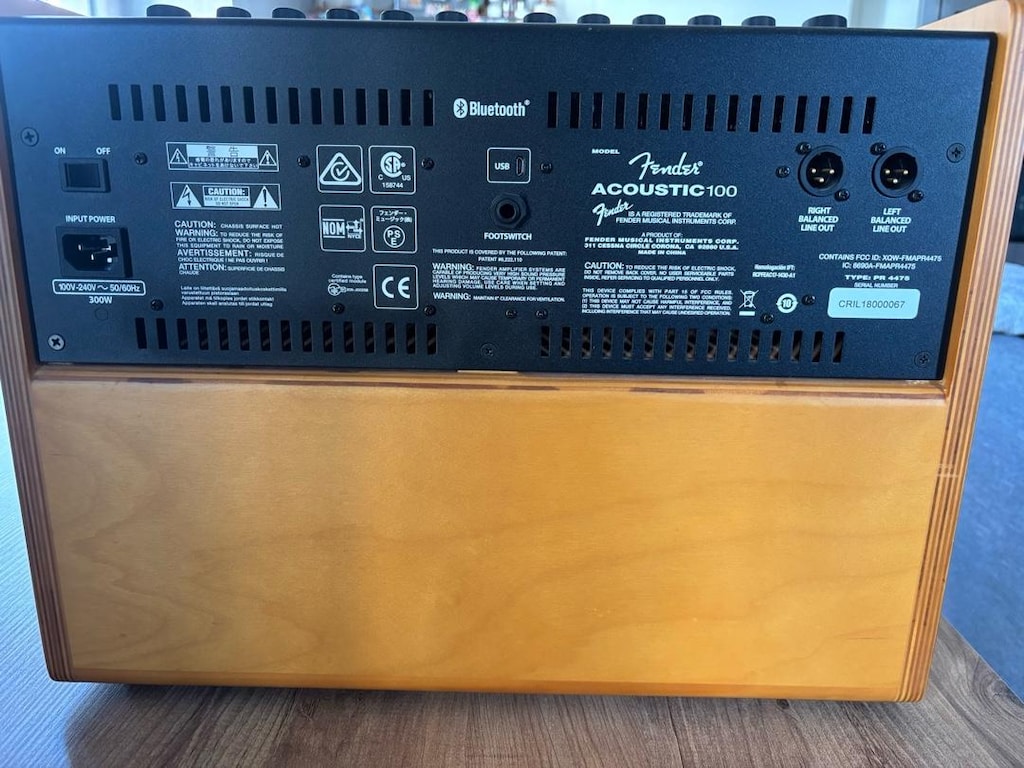 Fender Acoustic 100 Amfi - Hoparlör - 2