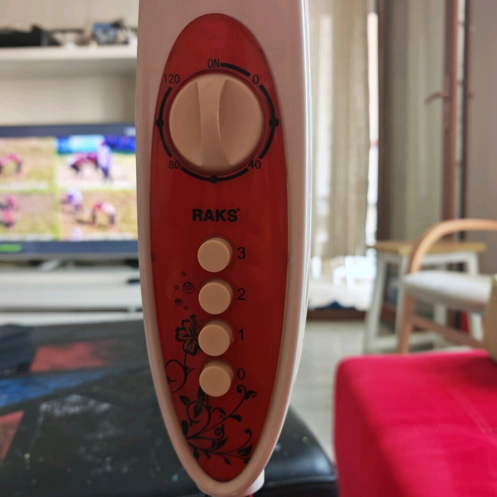 Raks 5 yapraklı 60w Ayaklı Vantilatör - 2