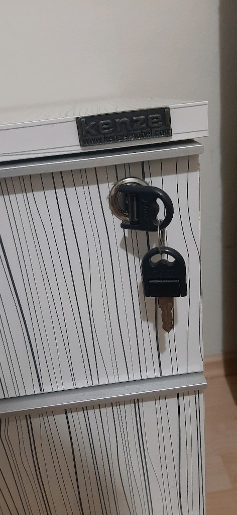 Zebra Tasarımlı Kilitli Keson - 3