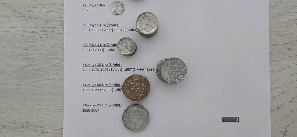 105 Adet Türkiye Eski Madeni Para Koleksiyonu – 1961-2019 - 3