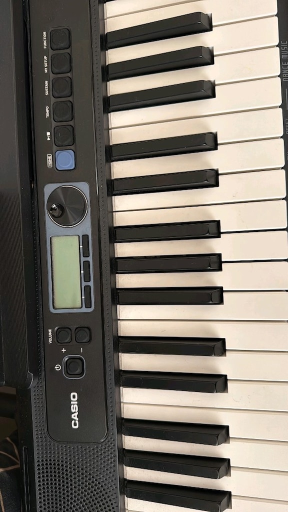 casio casiostone ct-s300 org - 4