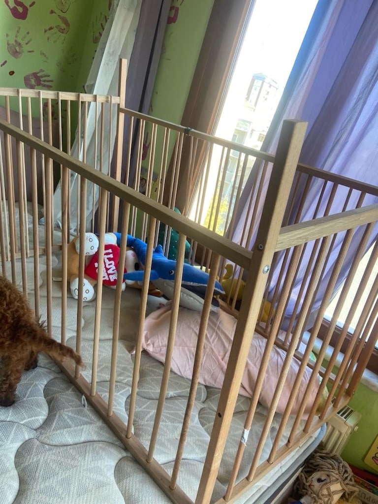 köpek çiti - 2