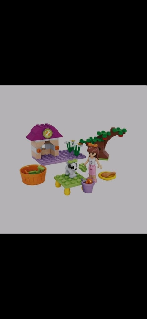 BLX LEGO 24306 SWEET GIRL KÖPEK KULÜBESİ - 2
