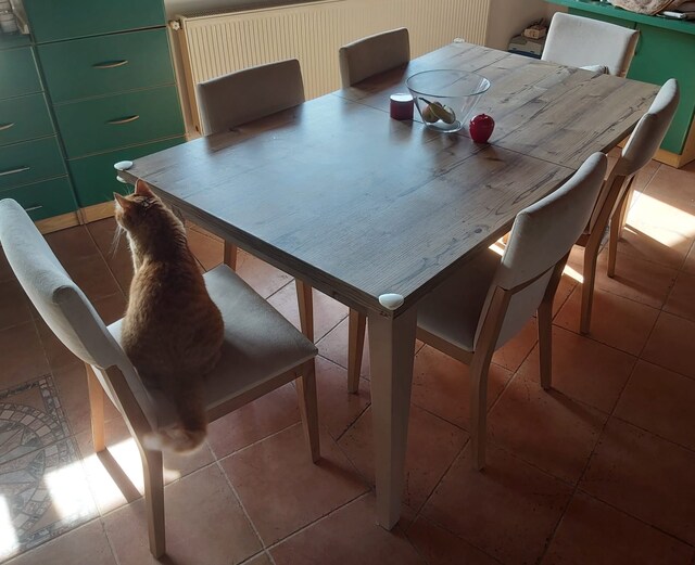Kitchen table with chairs
