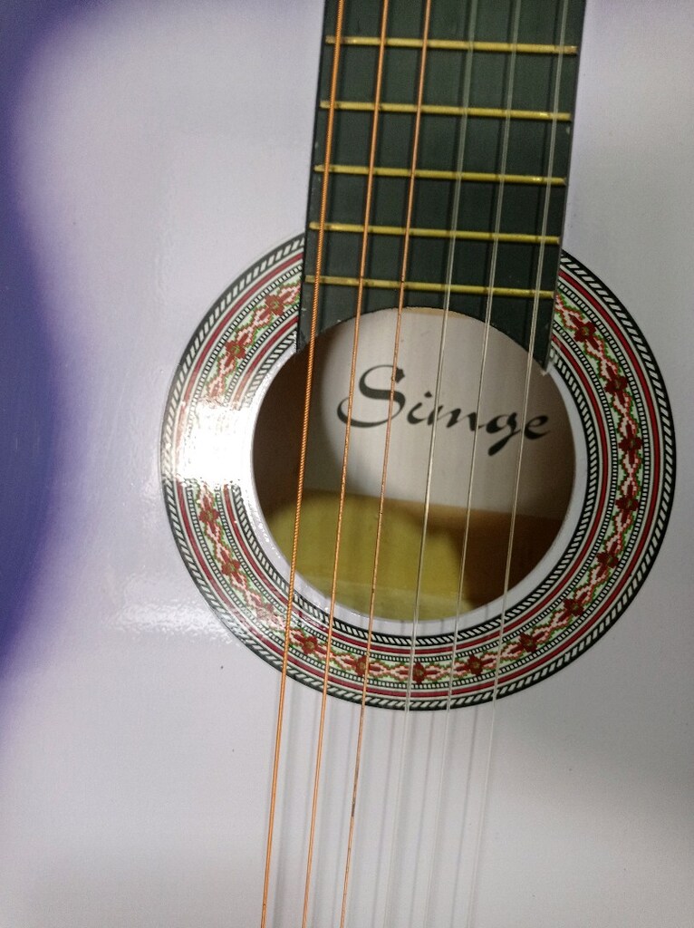 SİMGE 4/4 GİTAR - 2