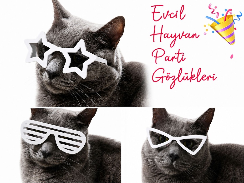 Yapı3D Kedi Gözlük Seti 3’lü | Renk Seçenekli Eğlenceli Kedi Aksesuarı - 2