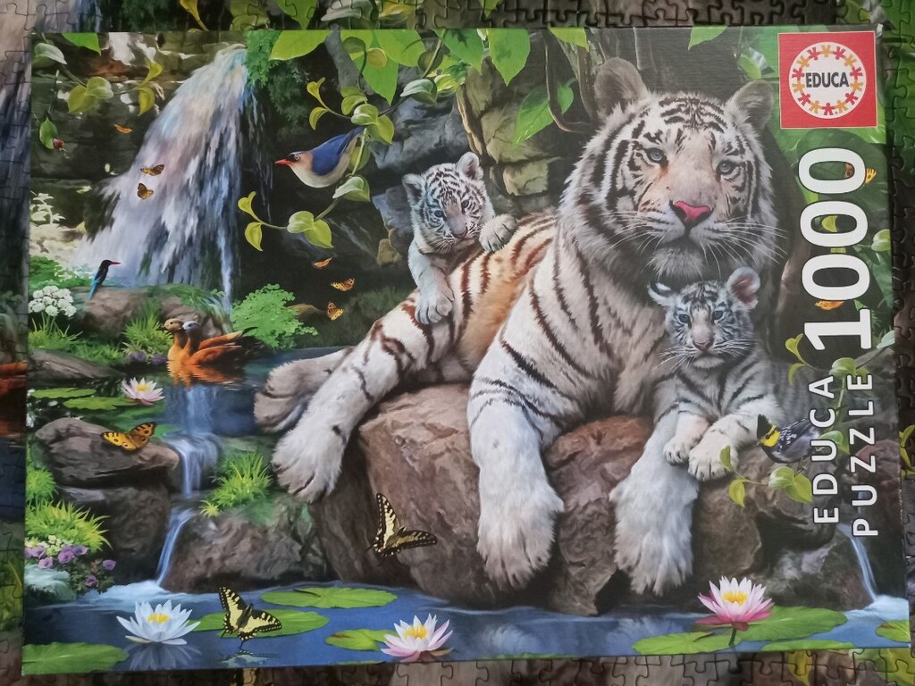 Educa 1000 parça puzzle - 4