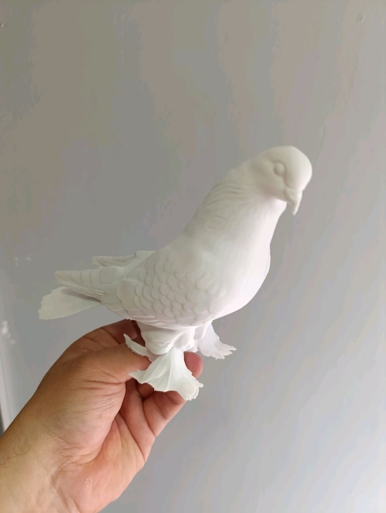 Sütbeyaz Paçalı Taklacı Güvercin figürü - 17