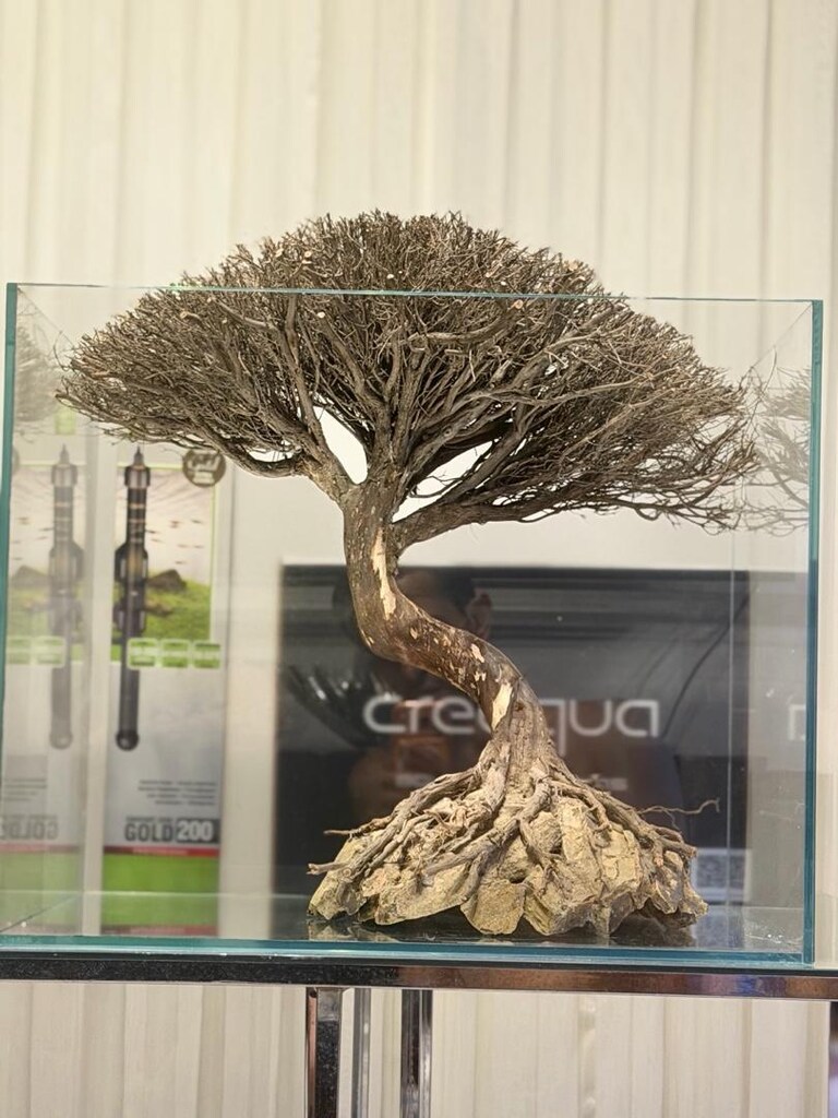 AKVARYUM HAZIR SET - 2