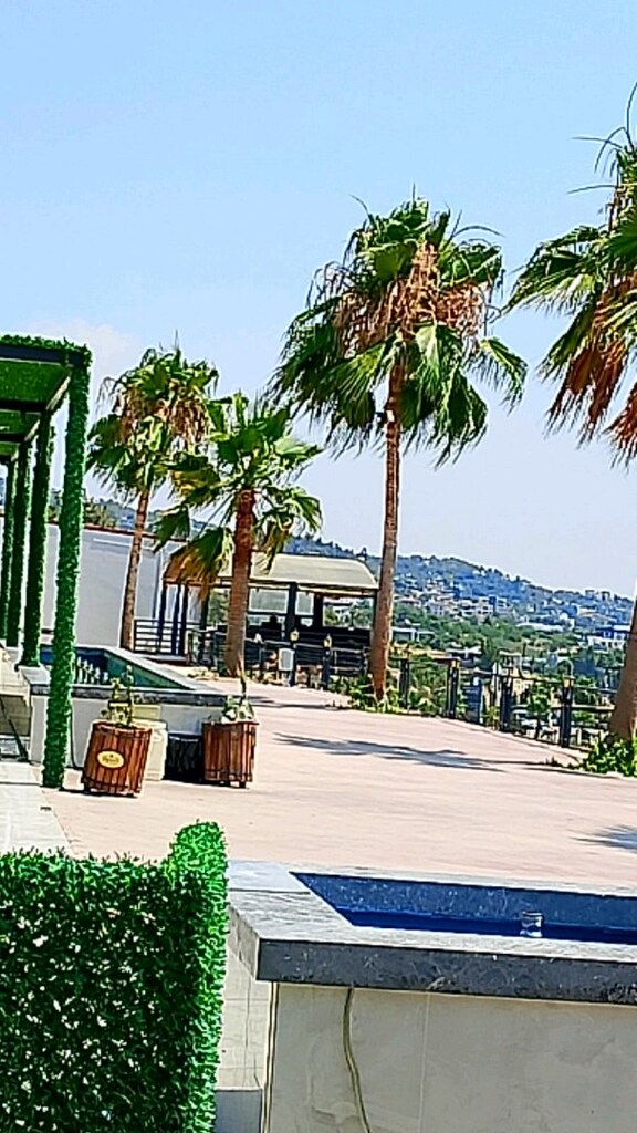 Palmiyeci Ergün evgin - 3