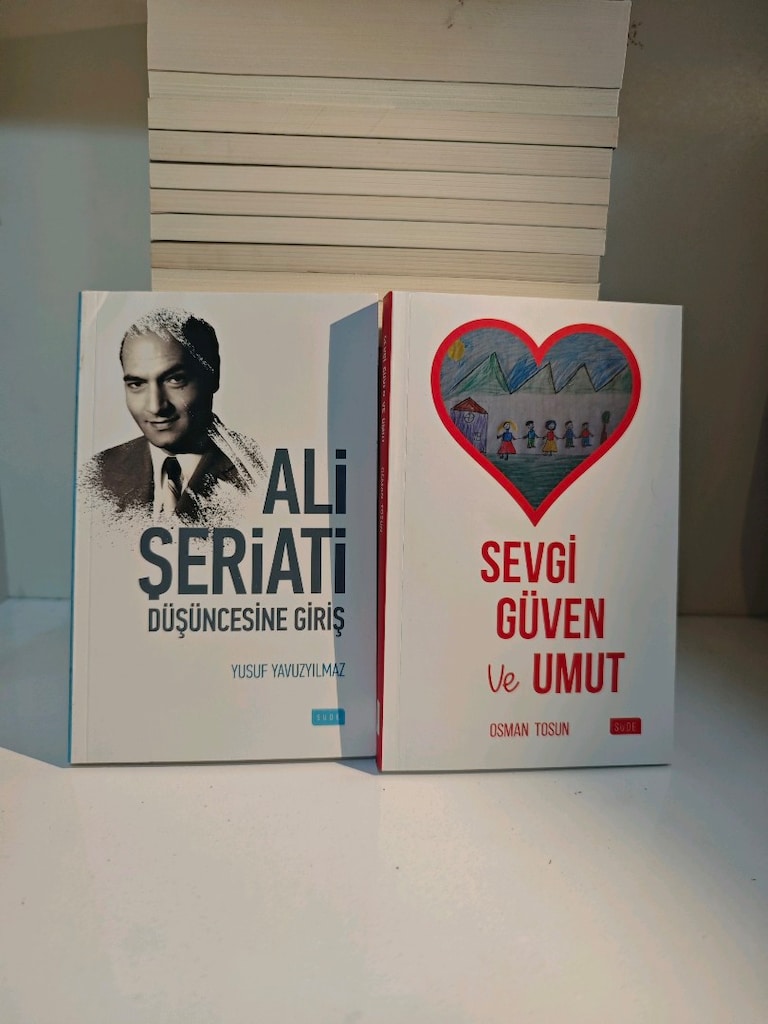 25 adetlik karışık kitap lotu. - 4