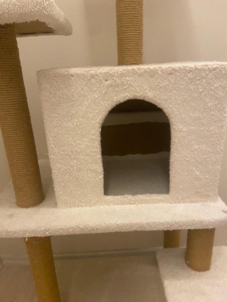 Kedi Evi - 2