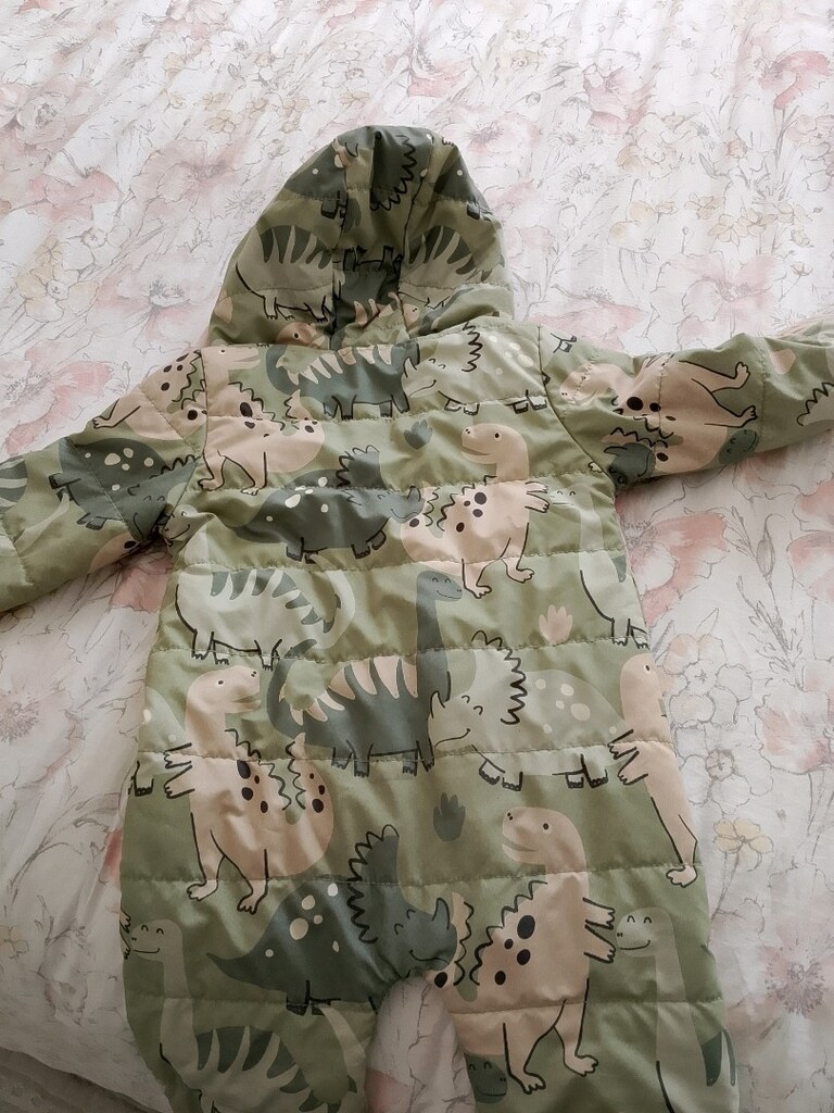 Astronot Mont - 4