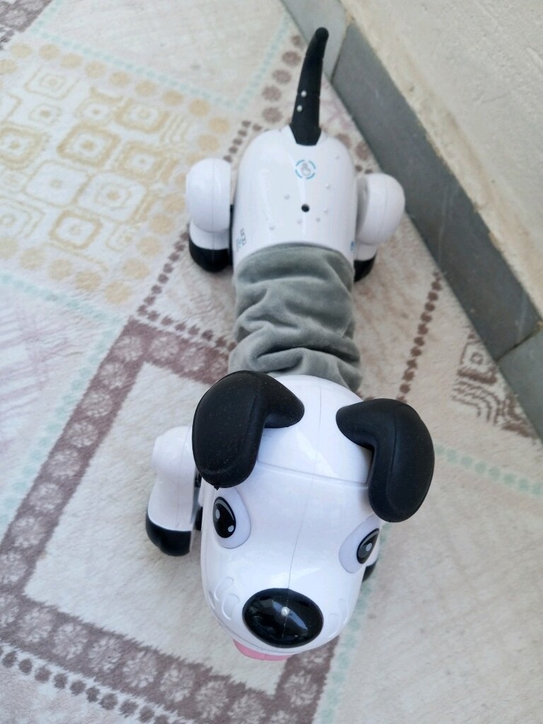 Robot köpek kumandalı - 3