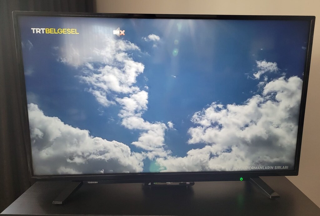 Toshiba 43UL2163DT 4K UHD LED TV - 11