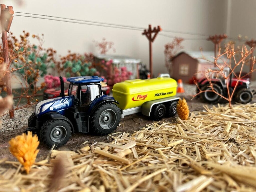 1:64 ölçek araçlarla birlikte köy dioraması - 3